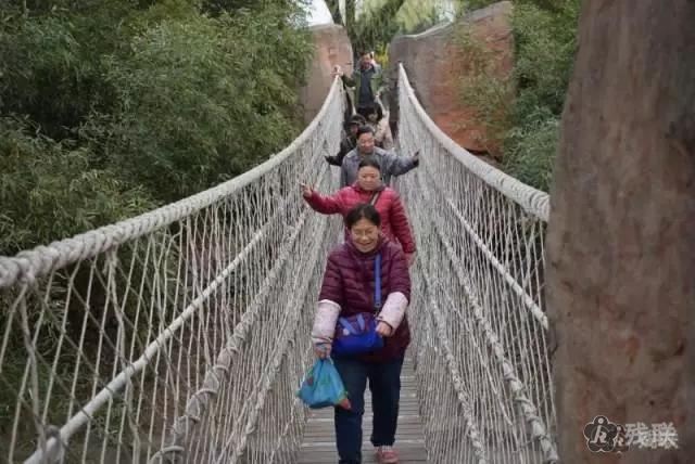 图为 活动现场