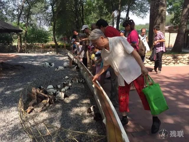 图为 活动现场