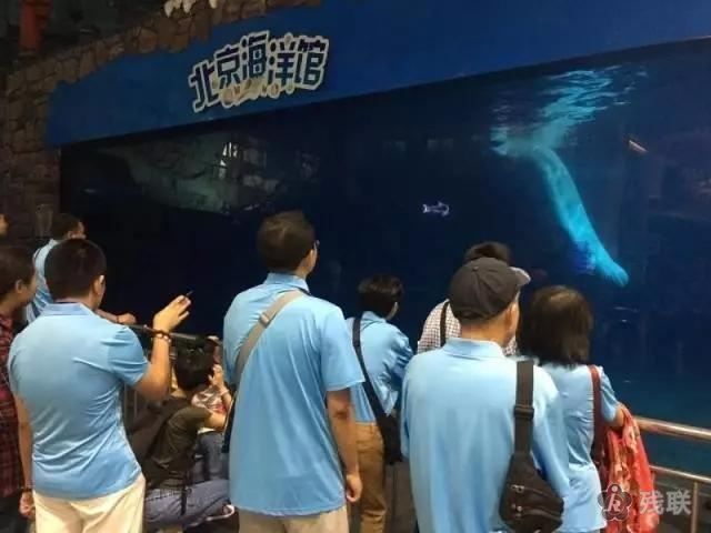 图为 参观现场