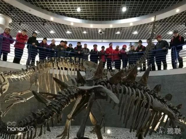 图为 活动现场