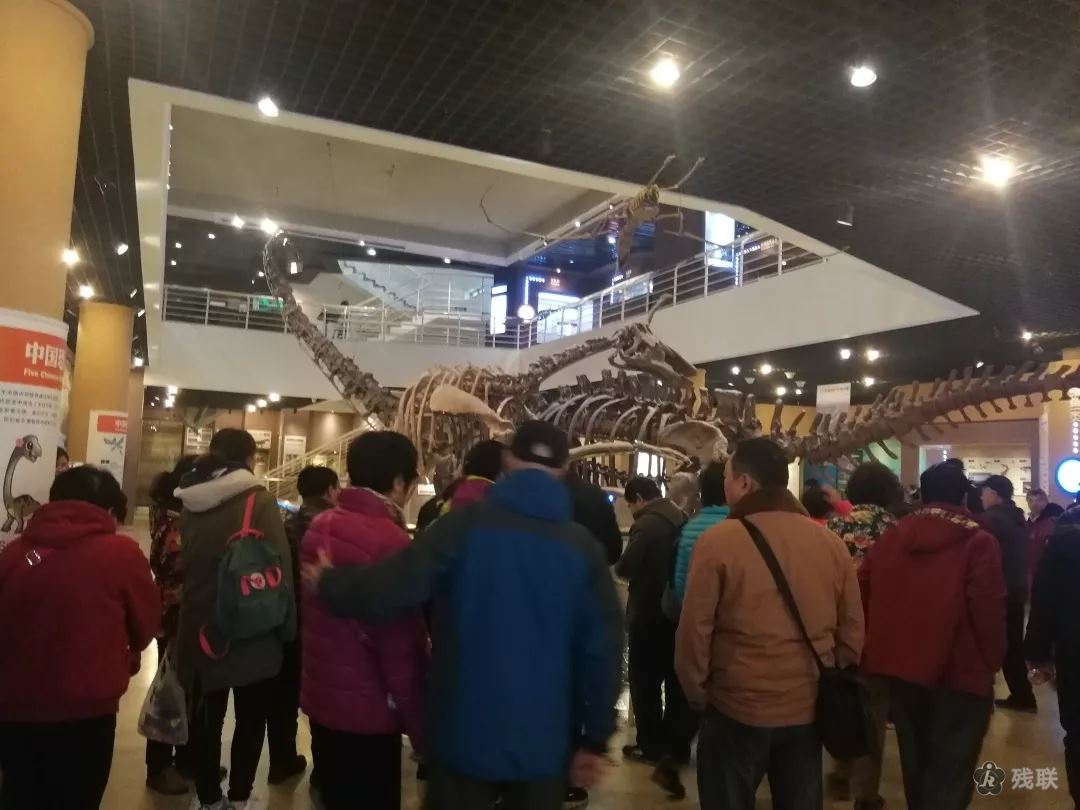 图为 活动现场