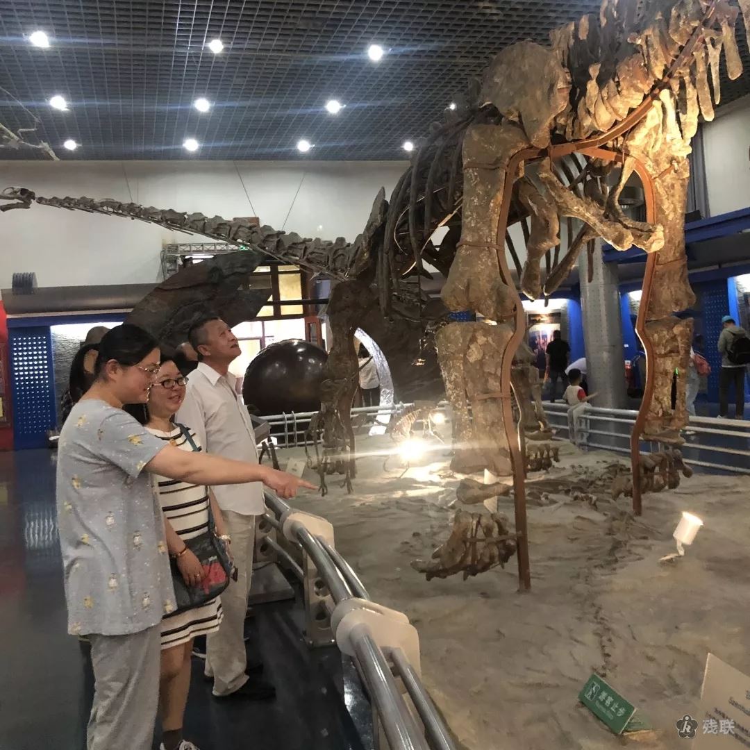 图为 活动现场