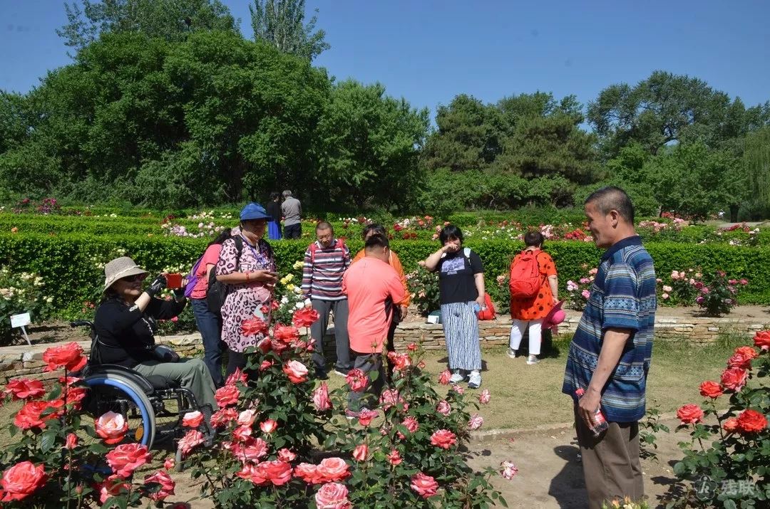 图为 活动现场