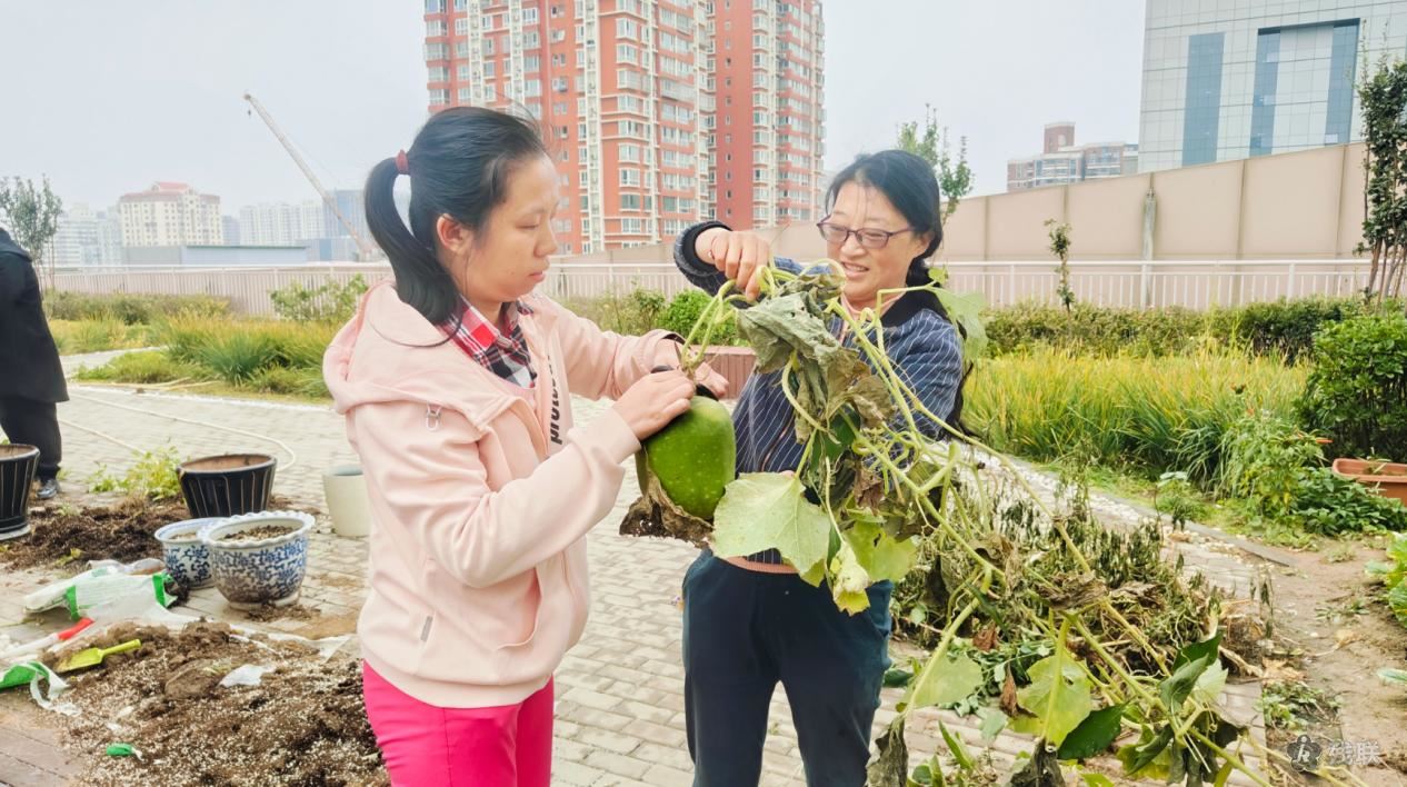 图为 活动现场